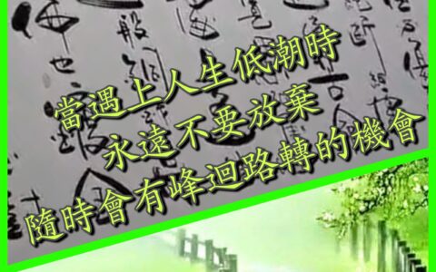 茶葉故事