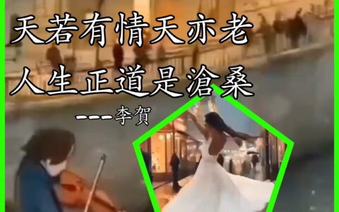 武夷岩茶