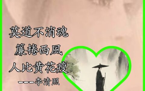 養生藥茶