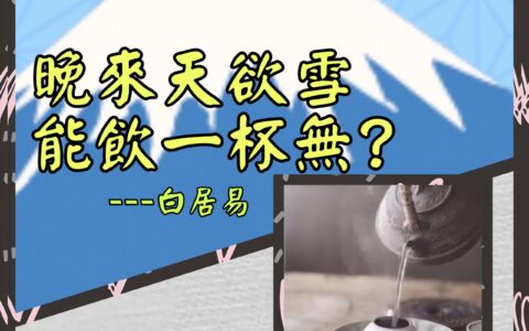 武夷大紅袍
