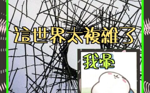 「穩定幣」是美元霸權的救贖？（五）