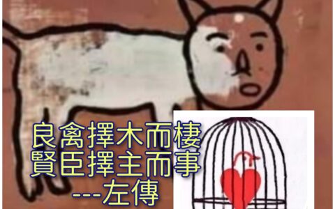 台灣「債蛙」的生死劫