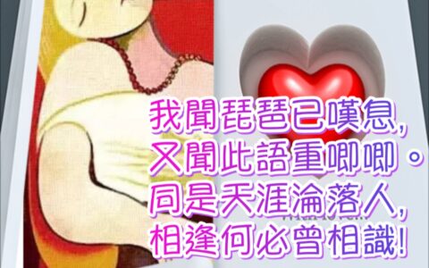 台灣的壯世代