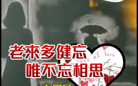 高雄---自行車專用道