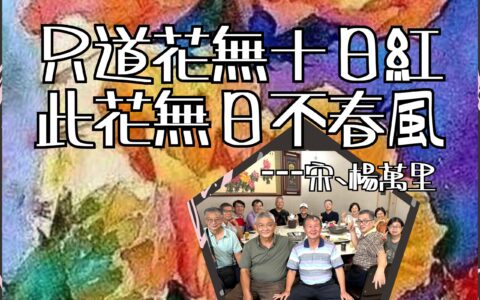 《最後十四堂星期二的課》