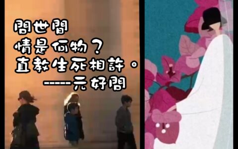 「ONO聯盟」的AI圈錢術(一)