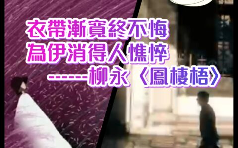 文心雕情(二)~詩的國度