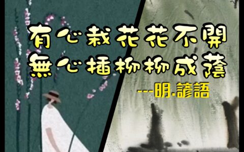 野生攝影所拍攝技巧