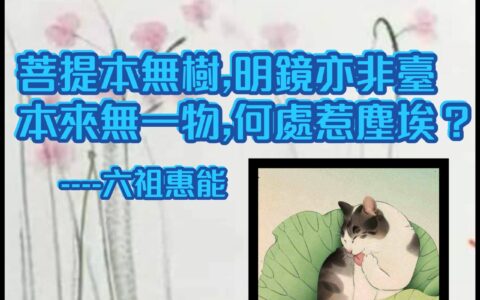 水晶的特性與功能