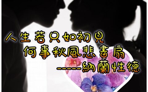 寶石功能速察表