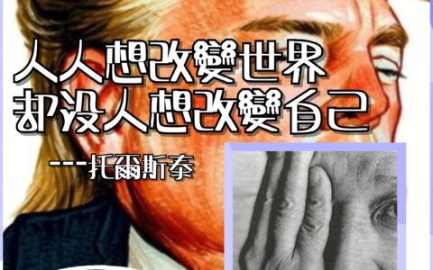 拼圖