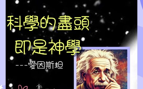 全球的「養龍蝦」狂歡潮！（一）