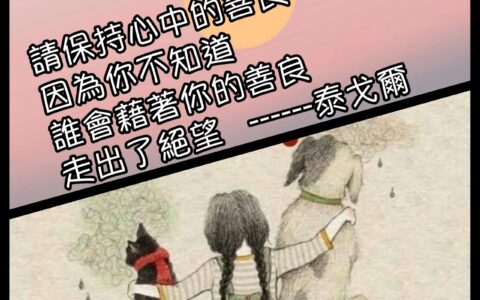 屏東蓮霧