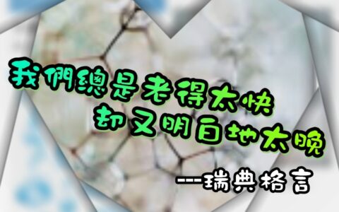台灣愛玉