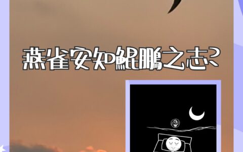 從挫折中站起來