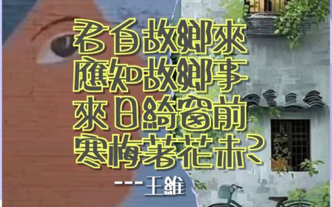 識人之明