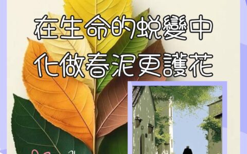 勿妄下斷言