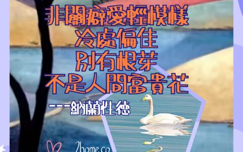 人不可貌相2