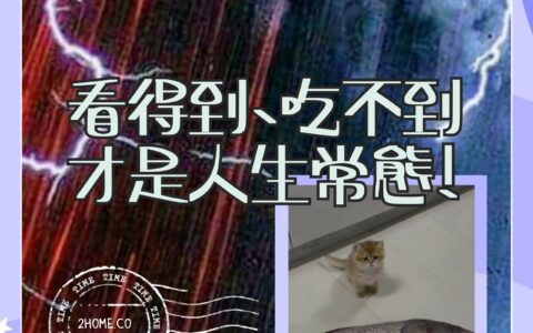 根生蒂固