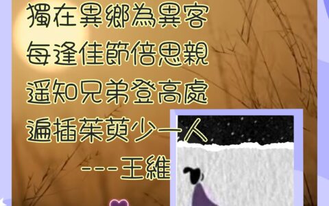 天使之心
